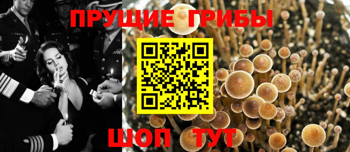 Нягань  Галлюциногенные грибы ЛСД  где найти наркотики  Вход с VPN 