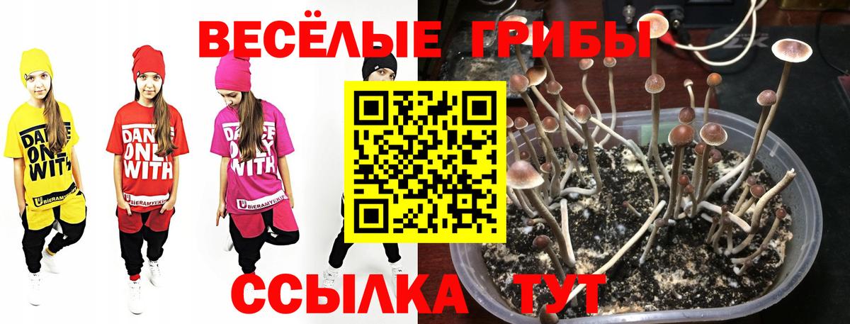 Галлюциногенные грибы мухоморы Нягань